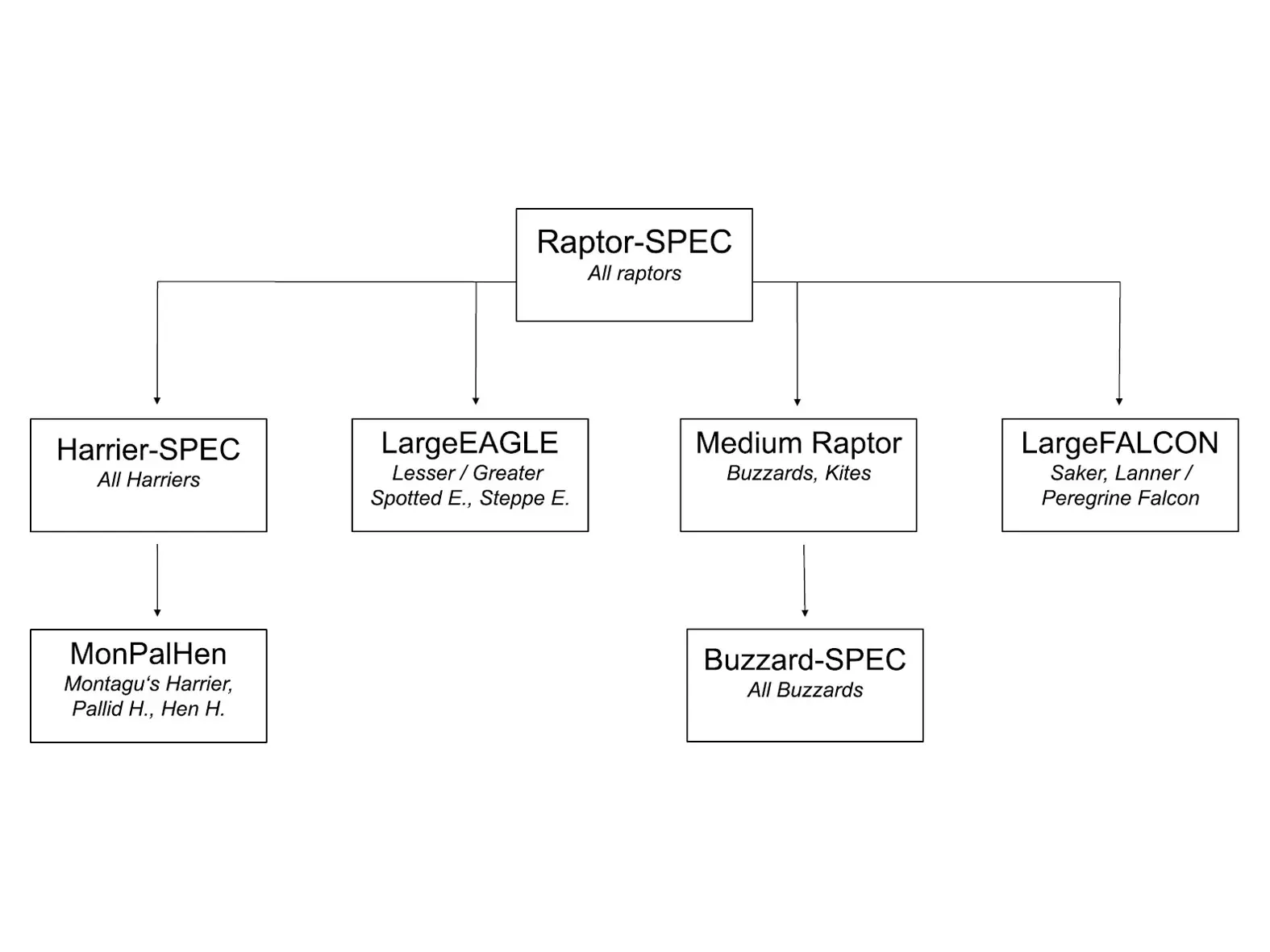 Figure 4. Hierarchy of morphological groups used to estimate how many of the ‘unidentified birds’ belong to each species level, shown only for target species at BRC.