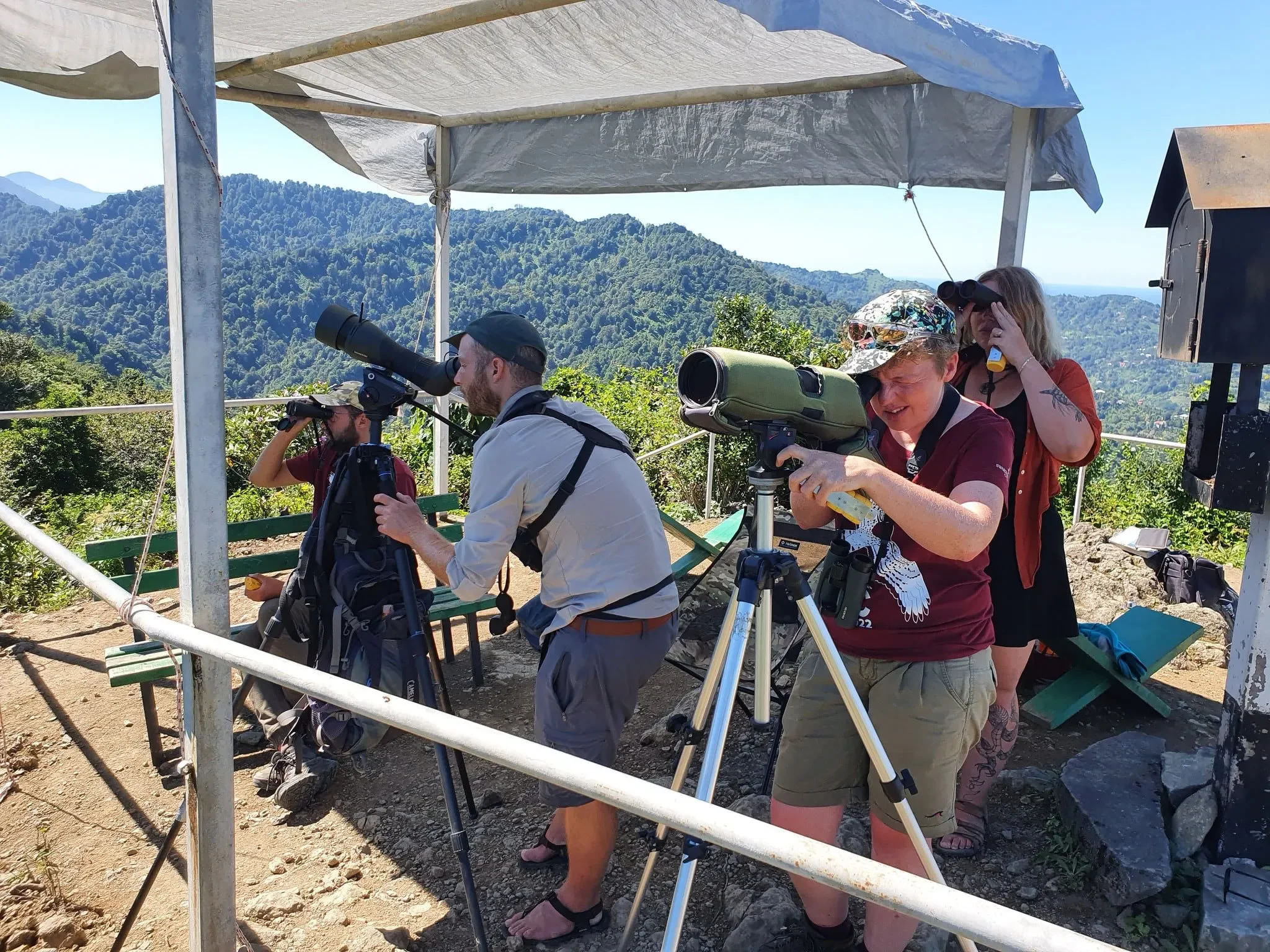 Behind-the-scenes photo from the 2022 Batumi Raptor Count autumn season