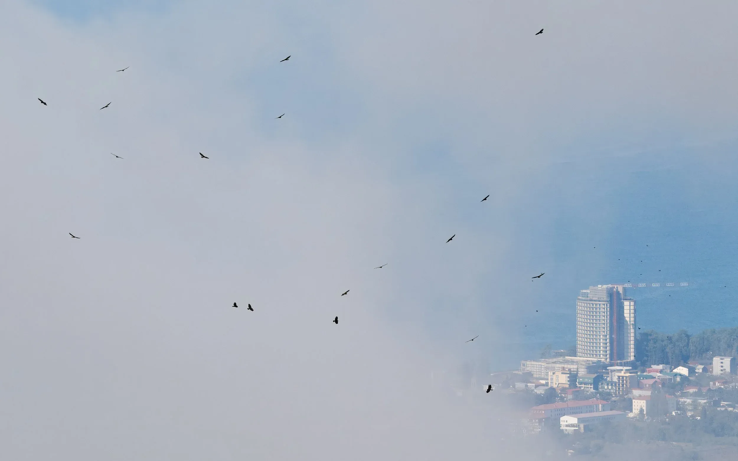 How we often see raptors from our station at Kvirike: in front of the sea and the city of Kobuleti