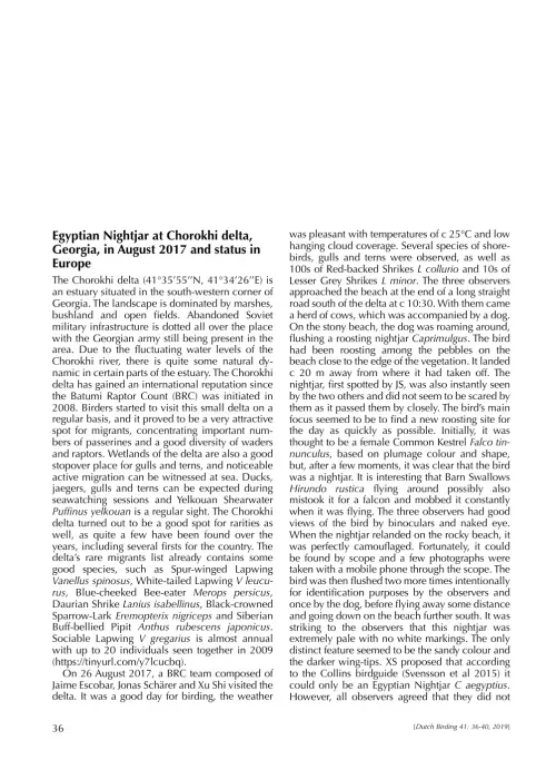 First page of “Egyptian Nightjar at Chorokhi Delta, Georgia, in August 2017 and status in Europe”