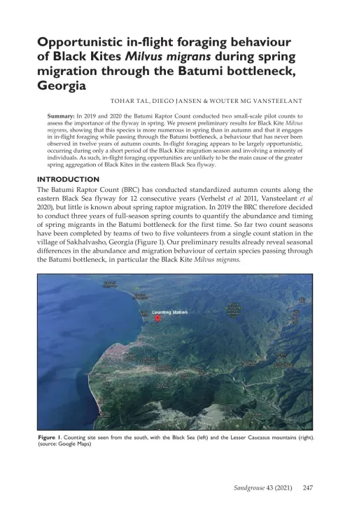 First page of “Opportunistic in-flight foraging behaviour of Black Kites Milvus migrans during spring migration through the Batumi bottleneck, Georgia”