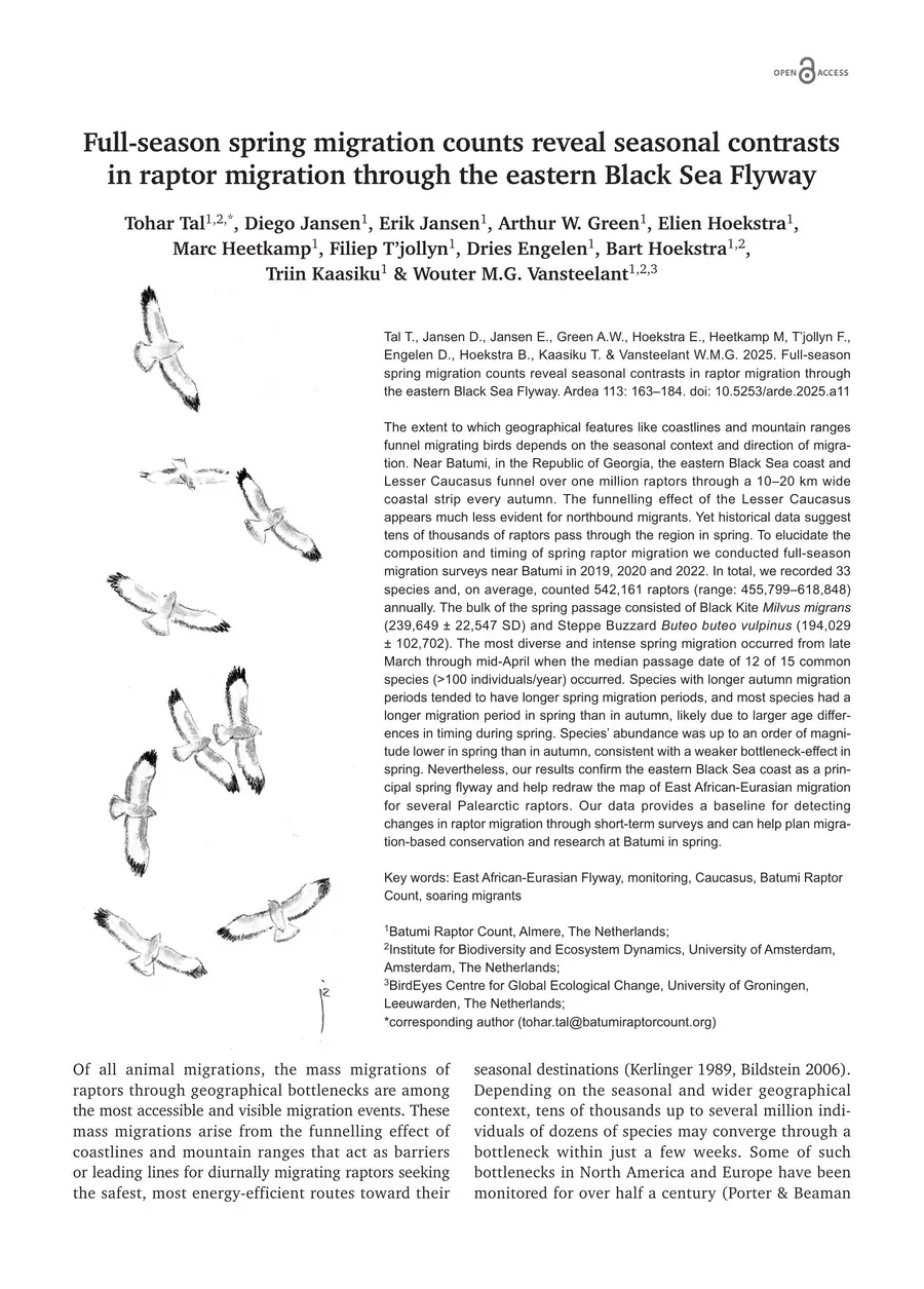 First page of “Full-season spring migration counts reveal seasonal contrasts in raptor migration through the Eastern Black Sea Flyway”