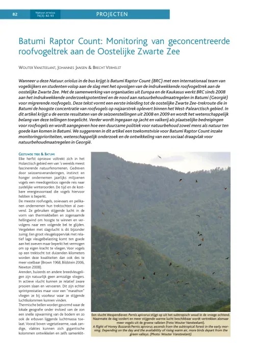 First page of “Batumi Raptor Count: Monitoring van geconcentreerde roofvogeltrek aan de Oostelijke Zwarte Zee”