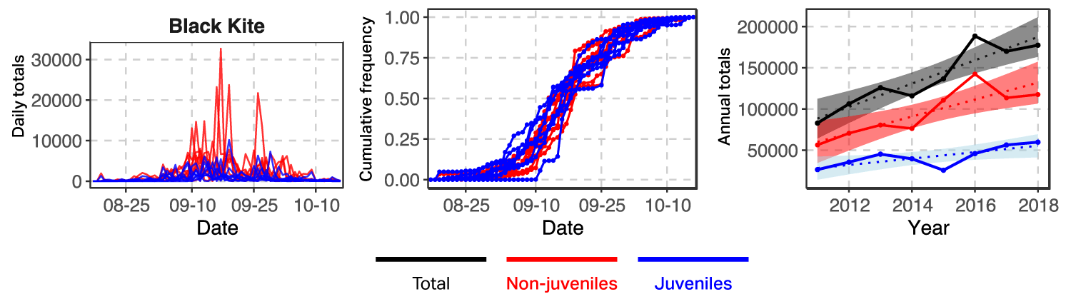 Graph of Black Kite counts by age class at Batumi, 2011-2018