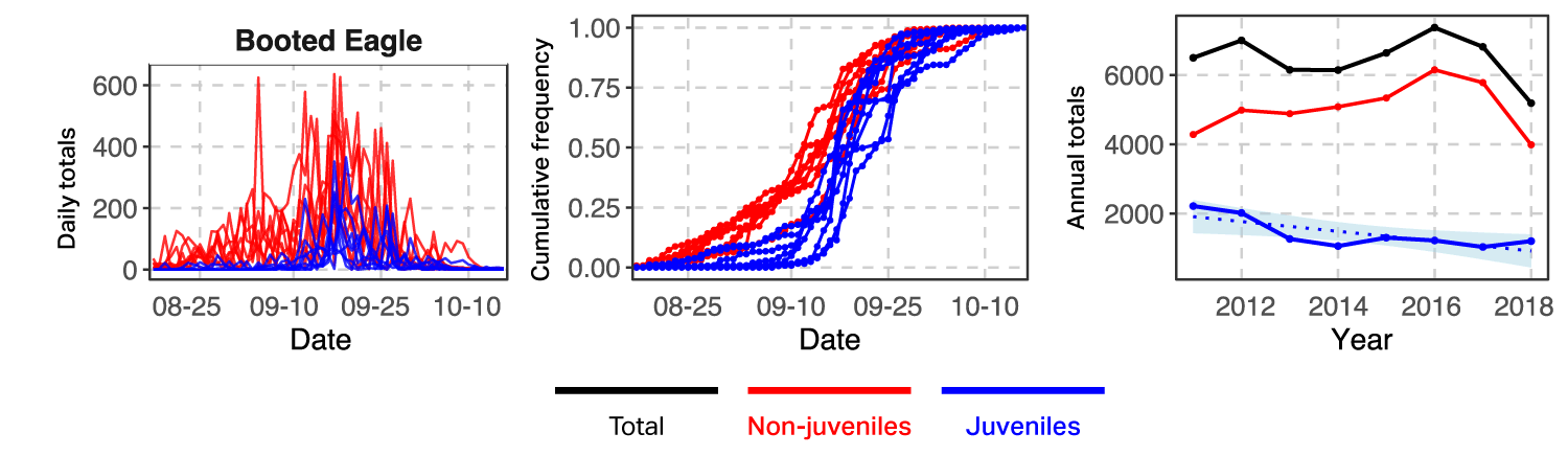 Graph of Booted Eagle counts by age class at Batumi, 2011-2018