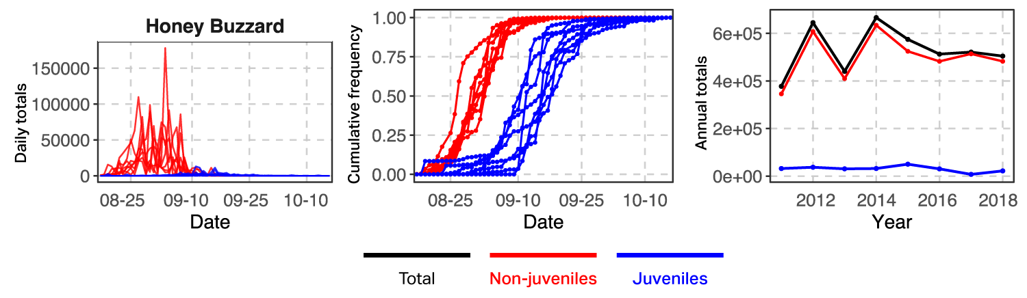 Graph of Honey Buzzard counts by age class at Batumi, 2011-2018