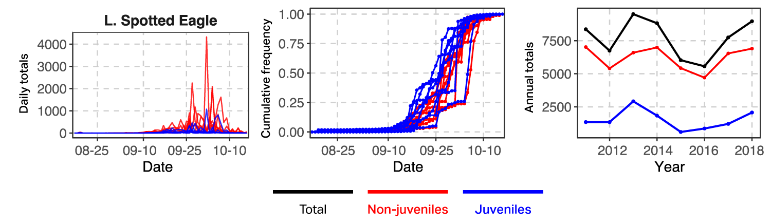 Graph of Lesser Spotted Eagle counts by age class at Batumi, 2011-2018