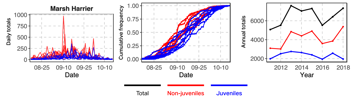 Graph of Marsh Harrier counts by age class at Batumi, 2011-2018