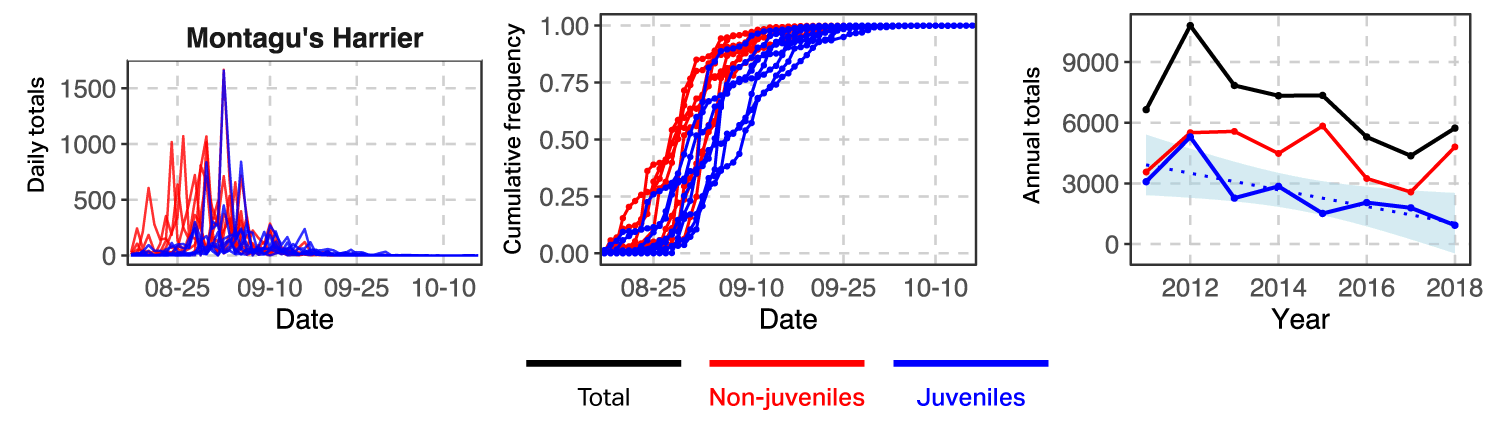 Graph of Montagu's Harrier counts by age class at Batumi, 2011-2018