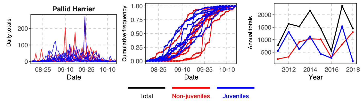 Graph of Pallid Harrier counts by age class at Batumi, 2011-2018