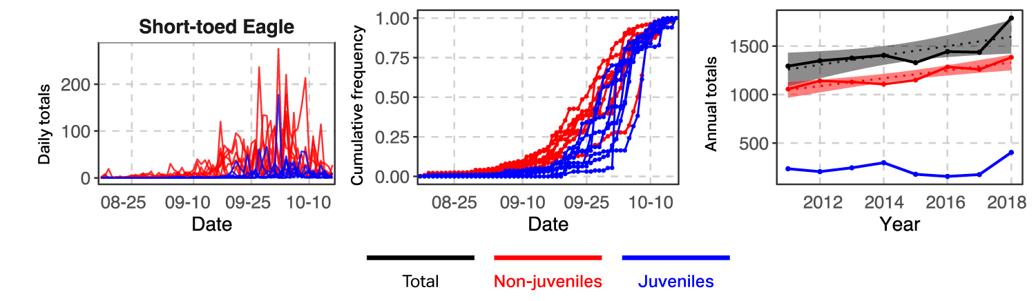 Graph of Short-toed Eagle counts by age class at Batumi, 2011-2018