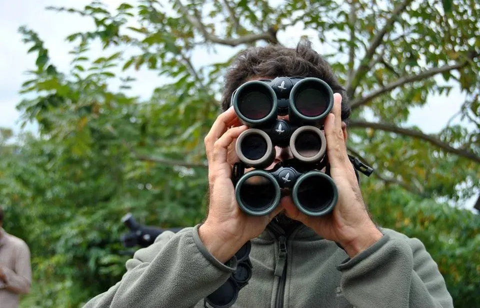 Coordinators keep an overview of all the streams and make sure all the birds get counted.